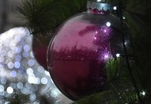 В Рязанской области планируют отказаться от салютов на Новый год