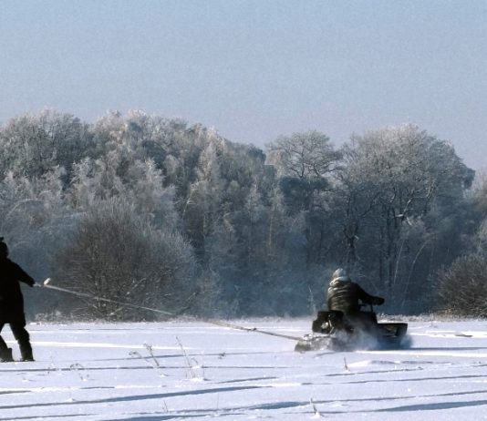 Рыбновцы придумали необычное зимнее развлечение: езду на сноуборде за мотособакой