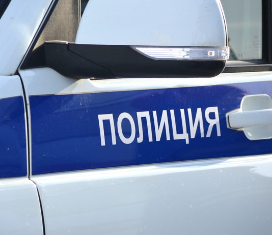 Жительница села Константиново угрожала знакомой двумя ножами