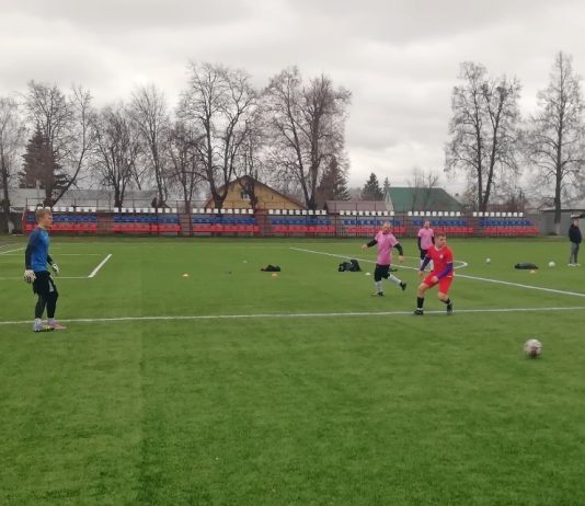 Чемпионом Рыбновского округа по мини-футболу стала команда «Баграмово»