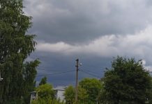 В понедельник в Рязанской области ожидаются грозы